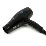 Secador Profesional Panther